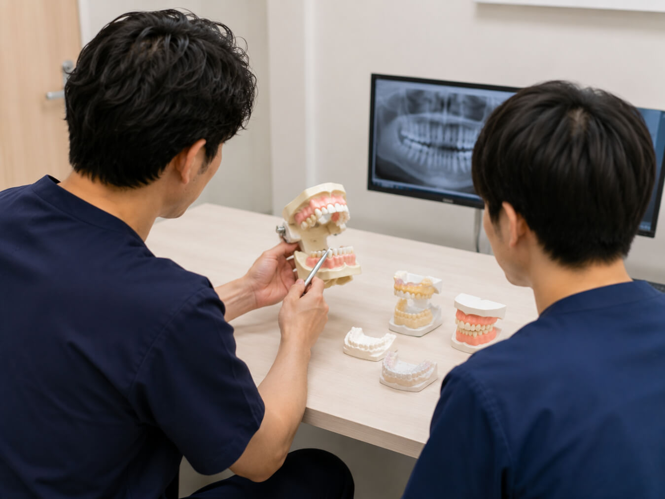 歯科医師が歯列模型を見ながら学ぶ様子